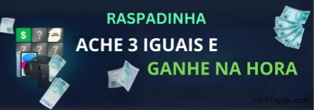 Termos de Serviço Turtlepg.com